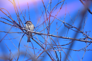 Similar image 22068554