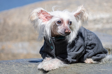 Similar image 22060002