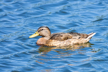 Similar image 22060363