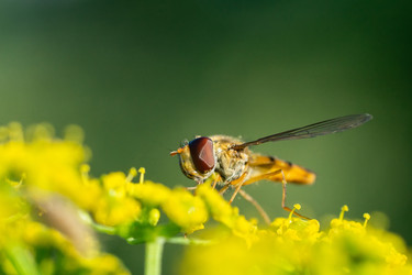 Similar image 22060377