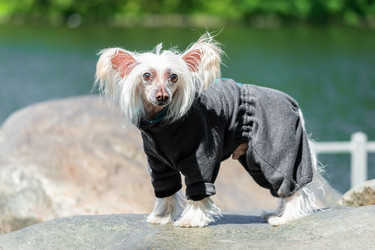 Similar image 22060385