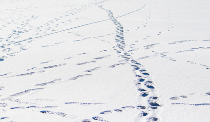 Similar image 22058853