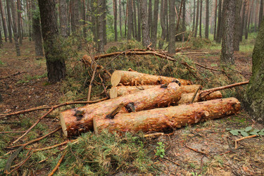 Similar image 22081031