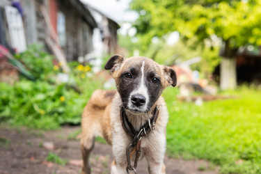 Similar image 22061173