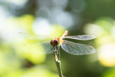 Similar image 22061174