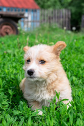 Similar image 22061175