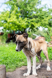 Similar image 22061540