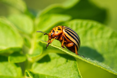 Similar image 22061541