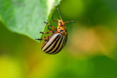 Similar image 22061543