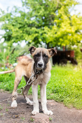 Similar image 22061544