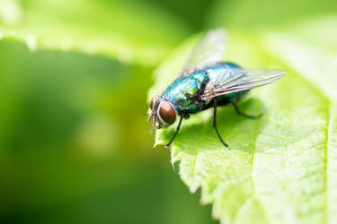 Similar image 22061556