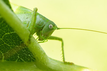 Similar image 22061561