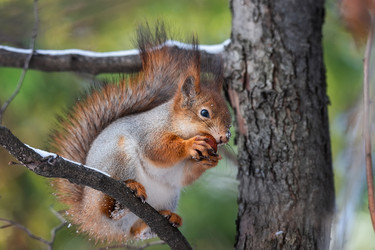 Similar image 22061569