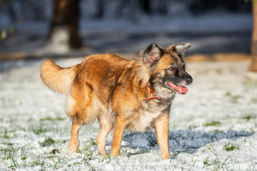 Similar image 22061582