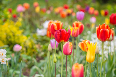 Similar image 22060053