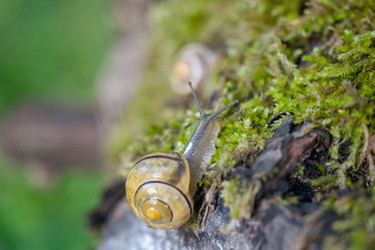 Similar image 22060055