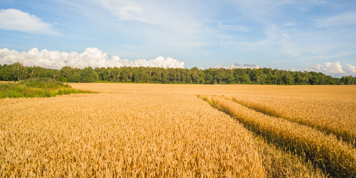 Similar image 22060056