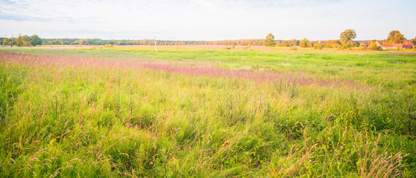 Similar image 22060057