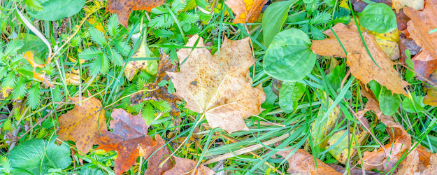 Similar image 22060058