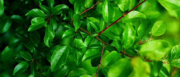 Similar image 22060059