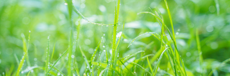 Similar image 22060060