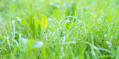 Similar image 22060061