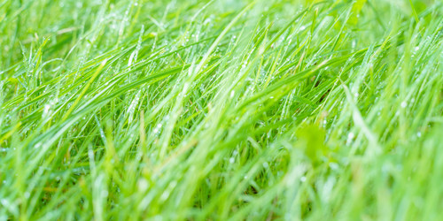 Similar image 22060062