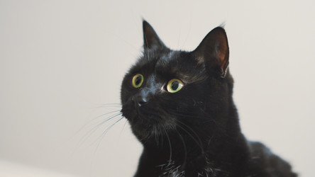 Similar image 22060063