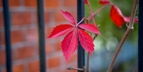 Similar image 22060071