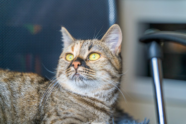 Similar image 22059297