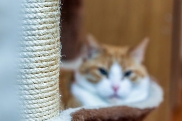 Similar image 22059299