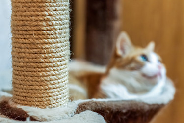 Similar image 22059302