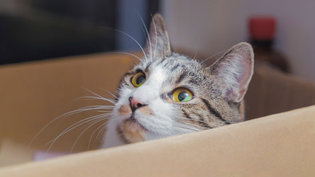 Similar image 22060074