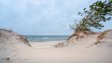 Similar image 22060076