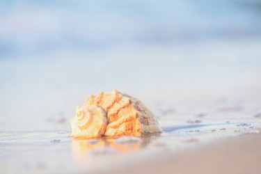 Similar image 22060078