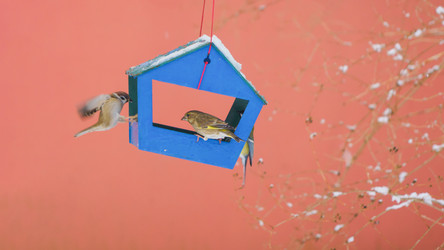 Similar image 22060079