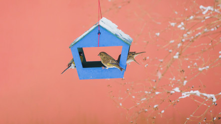 Similar image 22060081