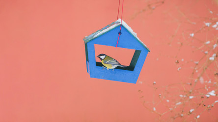 Similar image 22060083