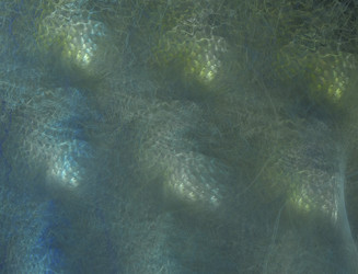 Similar image 22058506