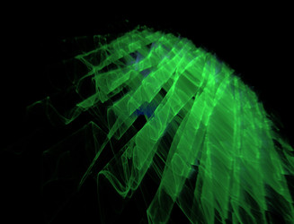 Similar image 22058520