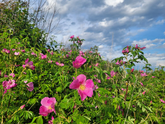 Similar image 22059308