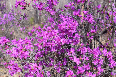 Similar image 22059310