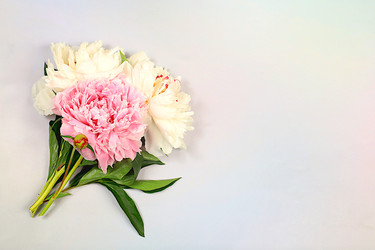 Similar image 22058909