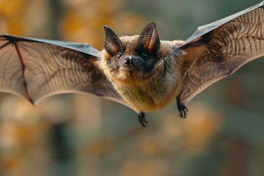 Similar image 22092444