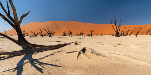 Similar image 22092732