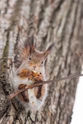 Similar image 22059983