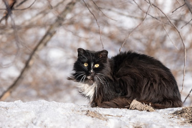 Similar image 22060390