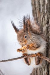 Similar image 22060393