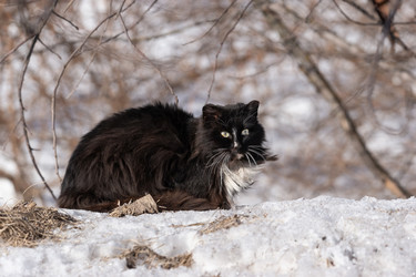 Similar image 22060400