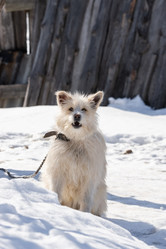 Similar image 22060404